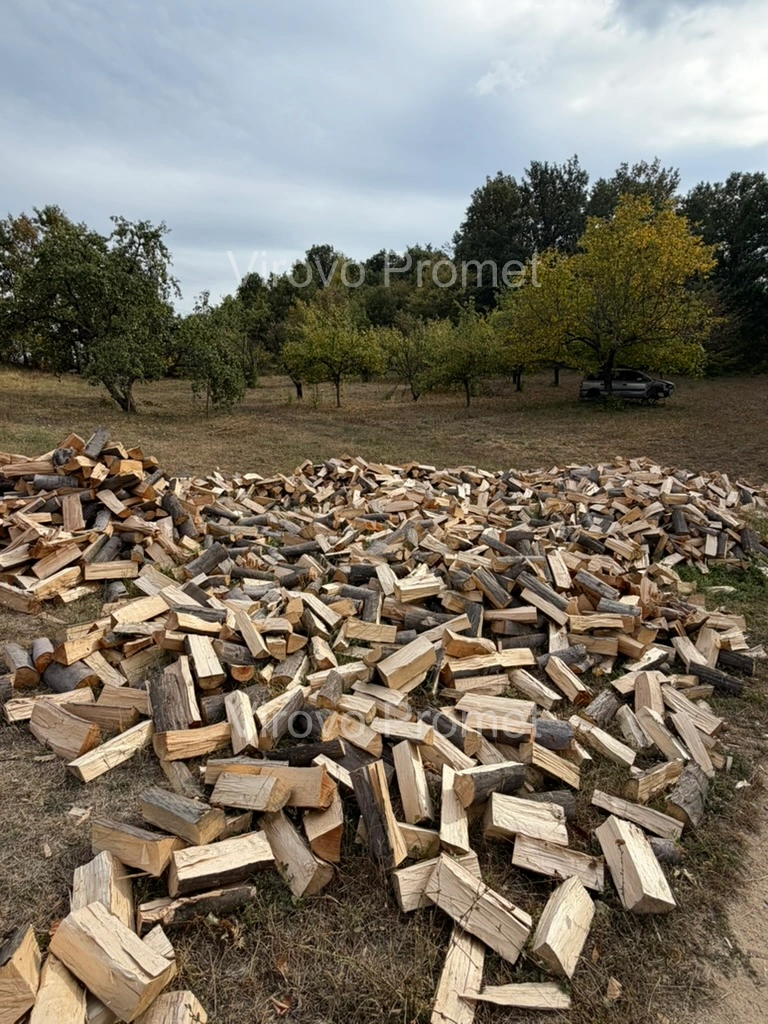 Split wood in the yard