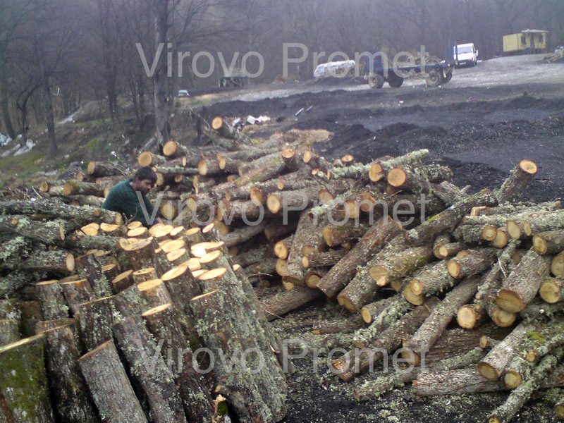 Stacks of harvested Macedonian hardwood logs